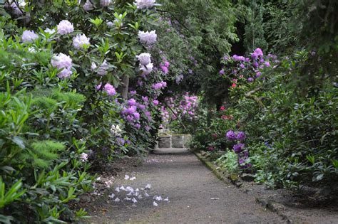  Ogród Botaniczny w Orvieto - Zjawiskowe Kwiaty i Odkrycie Starożytnych Tajemnic!